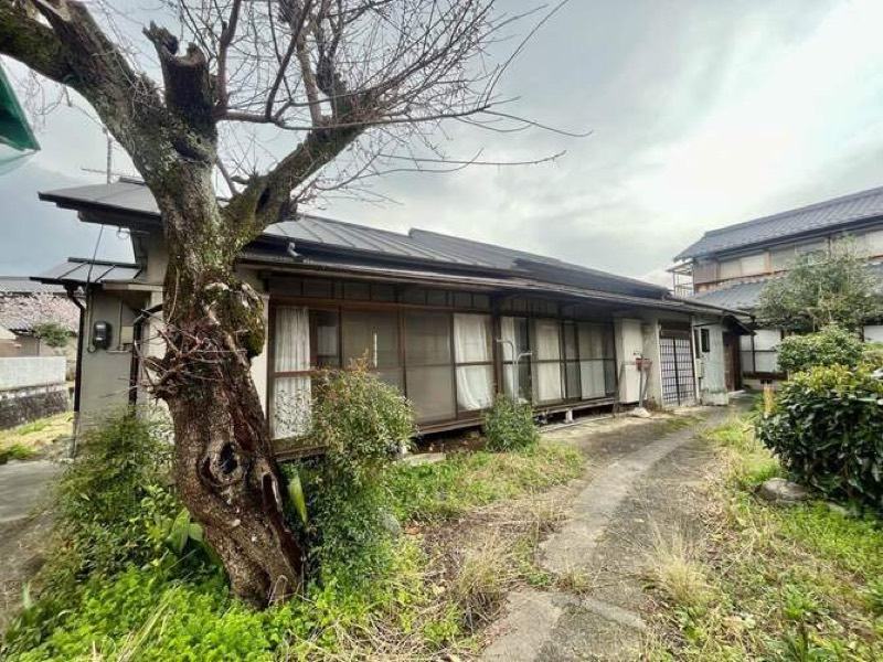 写真2